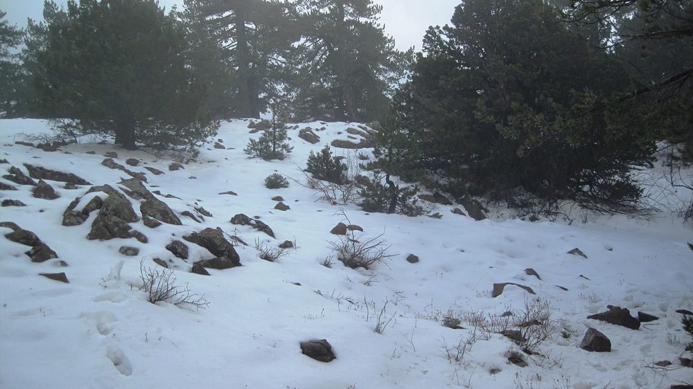 Winter brings snow to the Troodos Mountains in Cyprus