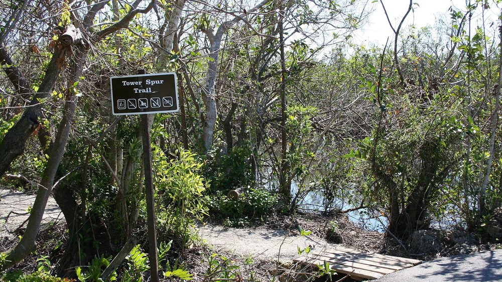 A road crossing the Everglades west of Miami