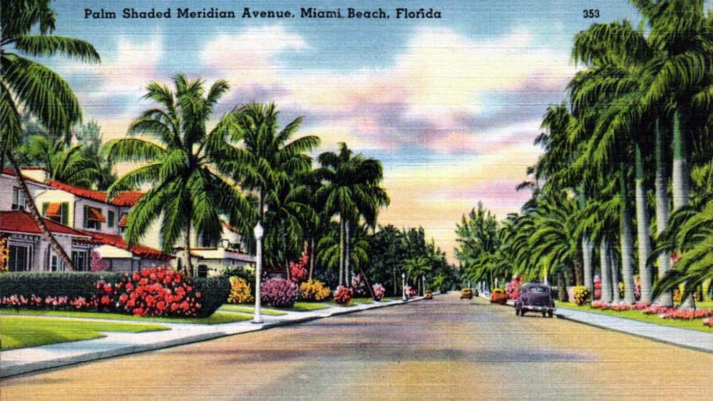 A palm-lined street in Miami Beach near the parking core
