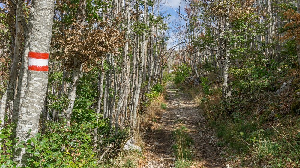 A scenic road through Lovcen National Park in Montenegro