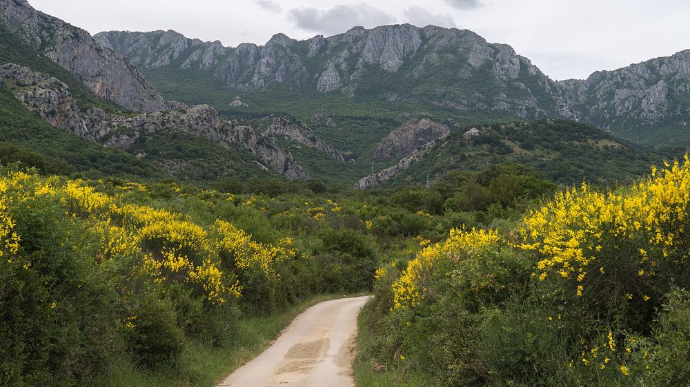 A winding mountain road in Montenegro climbing through the hills