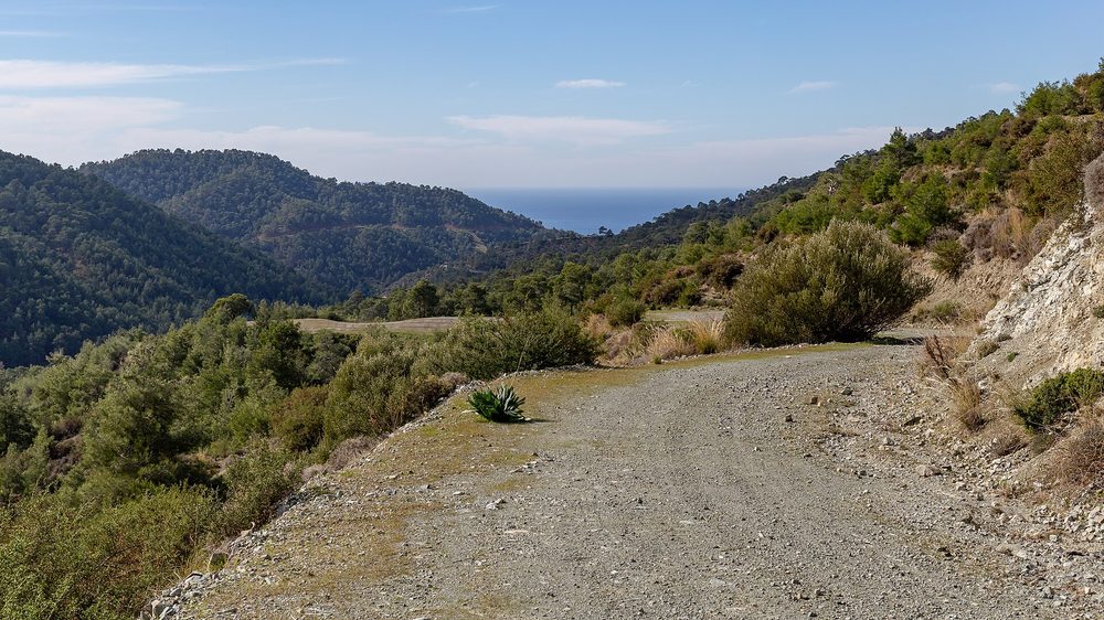 A winding mountain road in the Troodos, Cyprus