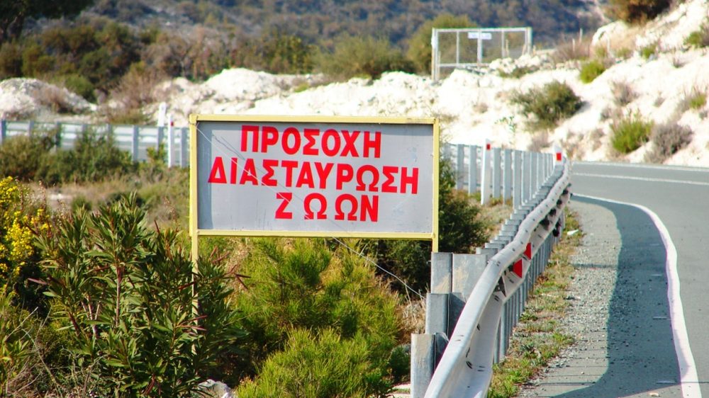A quiet road through a Cypriot mountain village